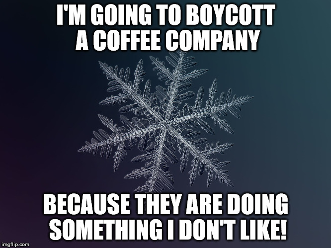 snowflake | I'M GOING TO BOYCOTT A COFFEE COMPANY; BECAUSE THEY ARE DOING SOMETHING I DON'T LIKE! | image tagged in snowflake | made w/ Imgflip meme maker