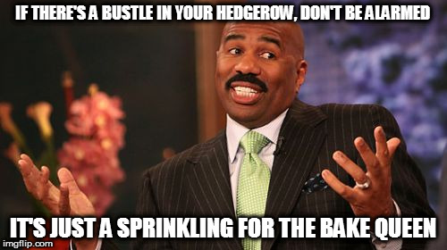 Steve Harvey Meme | IF THERE'S A BUSTLE IN YOUR HEDGEROW, DON'T BE ALARMED IT'S JUST A SPRINKLING FOR THE BAKE QUEEN | image tagged in memes,steve harvey | made w/ Imgflip meme maker