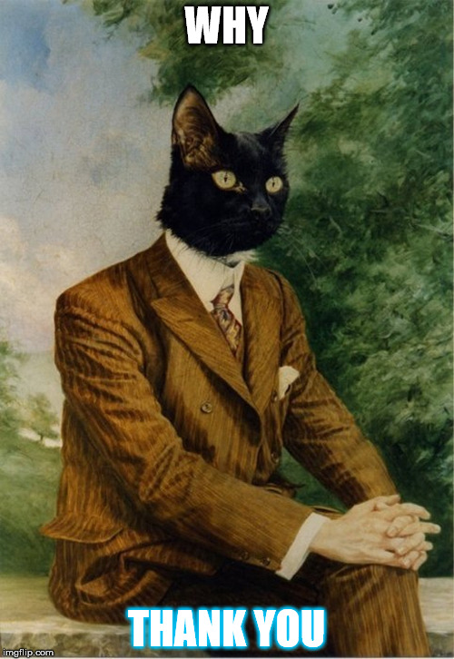cat in a suit | WHY THANK YOU | image tagged in cat in a suit | made w/ Imgflip meme maker