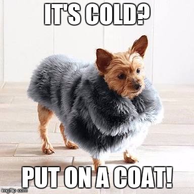 I'm in this big ass coat... | IT'S COLD? PUT ON A COAT! | image tagged in i'm in this big ass coat | made w/ Imgflip meme maker