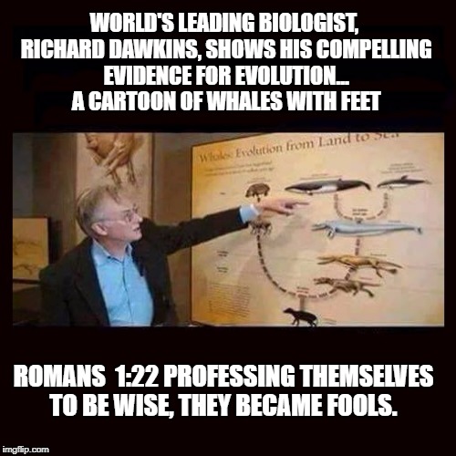 Richard Dawkins Showing Clear " Scientific Evidence " For Evolution ...