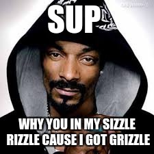 smoke weed every day | SUP; WHY YOU IN MY SIZZLE RIZZLE CAUSE I GOT GRIZZLE | image tagged in smoke weed every day | made w/ Imgflip meme maker