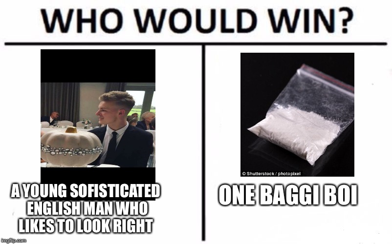 Who Would Win? Meme | A YOUNG SOFISTICATED ENGLISH MAN WHO LIKES TO LOOK RIGHT; ONE BAGGI BOI | image tagged in who would win | made w/ Imgflip meme maker