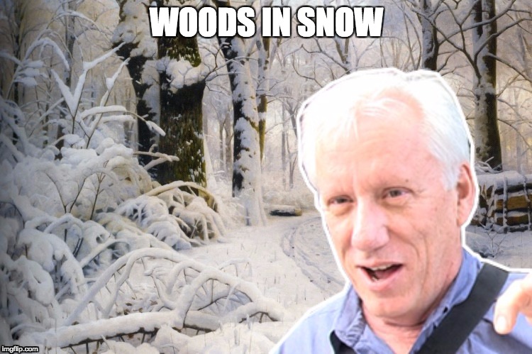 James woods in snowy woods | WOODS IN SNOW | image tagged in snow,woods | made w/ Imgflip meme maker