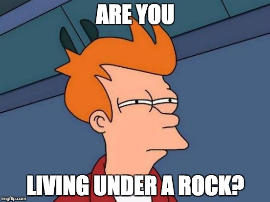 Futurama Fry | ARE YOU; LIVING UNDER A ROCK? | image tagged in memes,futurama fry | made w/ Imgflip meme maker