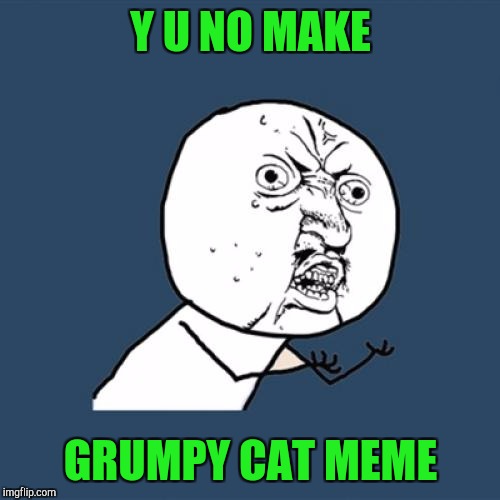 Y U No Meme | Y U NO MAKE GRUMPY CAT MEME | image tagged in memes,y u no | made w/ Imgflip meme maker
