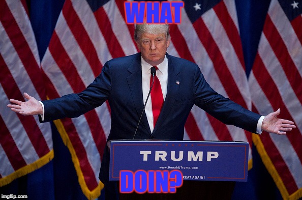 Donald Trump | WHAT; DOIN? | image tagged in donald trump | made w/ Imgflip meme maker