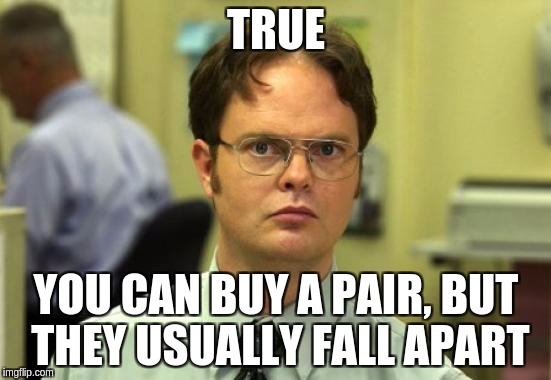 Dwight Schrute Meme | TRUE; YOU CAN BUY A PAIR, BUT THEY USUALLY FALL APART | image tagged in memes,dwight schrute | made w/ Imgflip meme maker