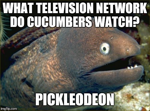 Better than LemTV (Lemon Television) | WHAT TELEVISION NETWORK DO CUCUMBERS WATCH? PICKLEODEON | image tagged in memes,bad joke eel,television,nickelodeon,vegetables,cucumber | made w/ Imgflip meme maker