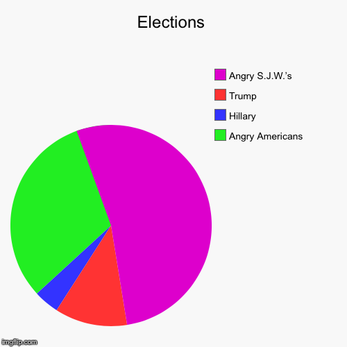 image tagged in funny,pie charts | made w/ Imgflip chart maker