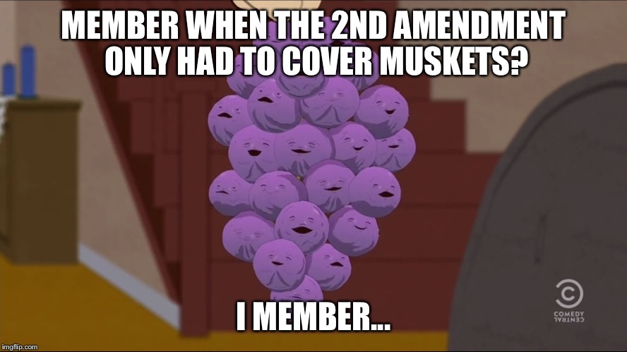 Member Berries Meme | MEMBER WHEN THE 2ND AMENDMENT ONLY HAD TO COVER MUSKETS? I MEMBER... | image tagged in memes,member berries | made w/ Imgflip meme maker