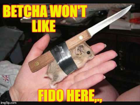Lock and Load Hamster | BETCHA WON'T LIKE FIDO HERE,., | image tagged in lock and load hamster | made w/ Imgflip meme maker