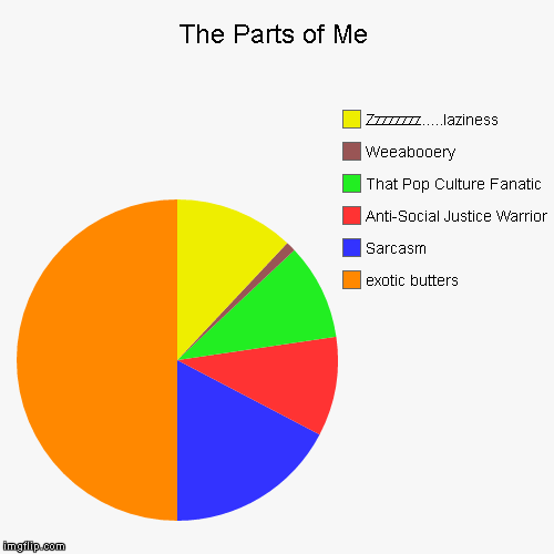As you can see, soul is not on here as I don't have one. | image tagged in funny,pie charts,memes,exotic butters,sarcasm | made w/ Imgflip chart maker