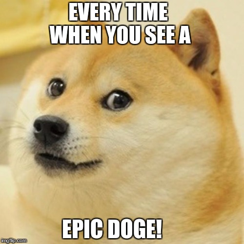 Doge Meme | EVERY TIME WHEN YOU SEE A; EPIC DOGE! | image tagged in memes,doge | made w/ Imgflip meme maker