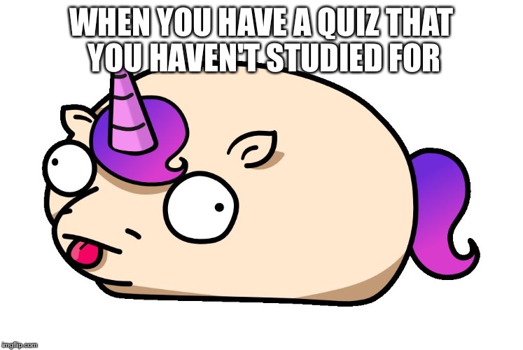 Unitato | WHEN YOU HAVE A QUIZ THAT YOU HAVEN'T STUDIED FOR | image tagged in unitato | made w/ Imgflip meme maker