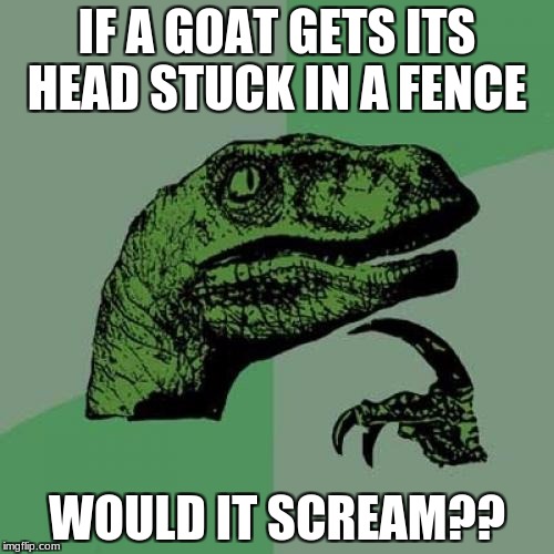 Philosoraptor Meme | IF A GOAT GETS ITS HEAD
STUCK IN A FENCE; WOULD IT SCREAM?? | image tagged in memes,philosoraptor | made w/ Imgflip meme maker