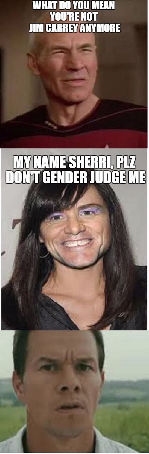 hollywood  | WHAT DO YOU MEAN YOU'RE NOT
 JIM CARREY ANYMORE; MY NAME SHERRI, PLZ DON'T GENDER JUDGE ME | image tagged in meme,carrey | made w/ Imgflip meme maker