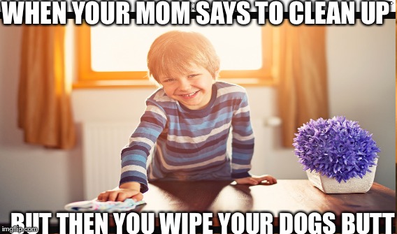 WHEN YOUR MOM SAYS TO CLEAN UP; BUT THEN YOU WIPE YOUR DOGS BUTT | image tagged in funny memes | made w/ Imgflip meme maker