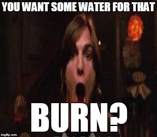 YOU WANT SOME WATER FOR THAT BURN? | made w/ Imgflip meme maker