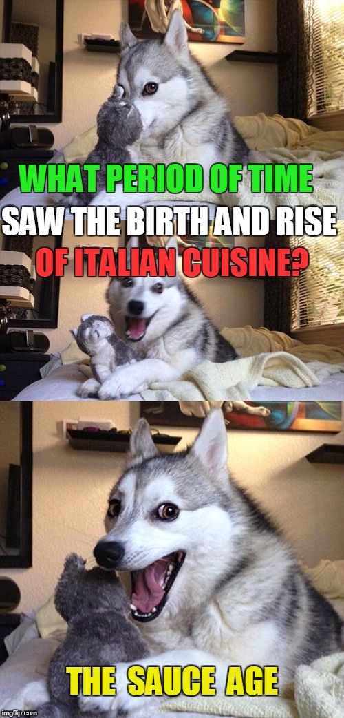 Two puns, yes, TWO puns in one! | WHAT PERIOD OF TIME; SAW THE BIRTH AND RISE; OF ITALIAN CUISINE? THE  SAUCE  AGE | image tagged in memes,bad pun dog | made w/ Imgflip meme maker