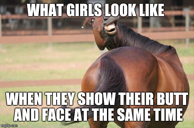 funny horse | WHAT GIRLS LOOK LIKE; WHEN THEY SHOW THEIR BUTT AND FACE AT THE SAME TIME | image tagged in funny horse | made w/ Imgflip meme maker