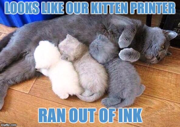Kitten printer out of ink | LOOKS LIKE OUR KITTEN PRINTER; RAN OUT OF INK | image tagged in kittens,cute kittens | made w/ Imgflip meme maker