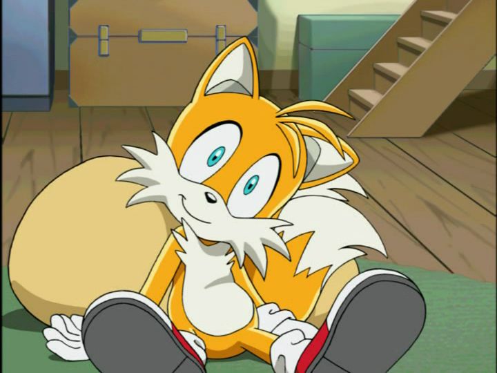 High Quality Tails Blank Meme Template