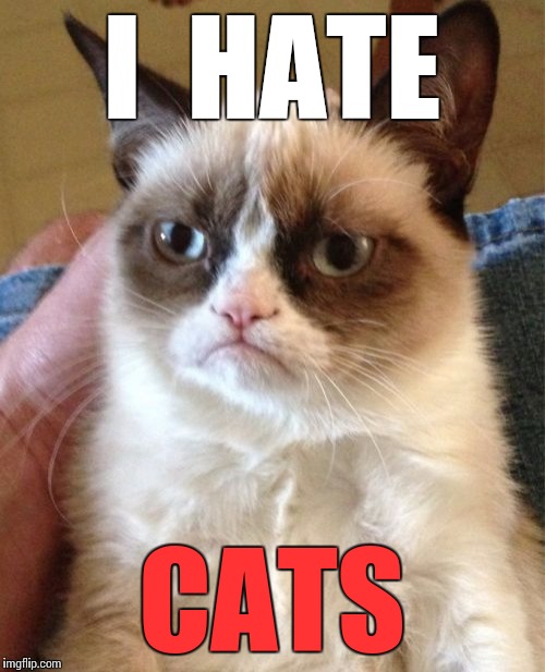 Grumpy Cat | I  HATE; CATS | image tagged in memes,grumpy cat | made w/ Imgflip meme maker