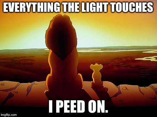 Pride Rock is one big urinal | EVERYTHING THE LIGHT TOUCHES; I PEED ON. | image tagged in memes,lion king,urinal,bathroom humor,peeing,toilet | made w/ Imgflip meme maker
