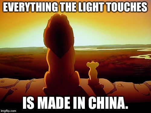 Africhina | EVERYTHING THE LIGHT TOUCHES; IS MADE IN CHINA. | image tagged in memes,lion king,africa,made in china,world domination,chinese cartoons | made w/ Imgflip meme maker