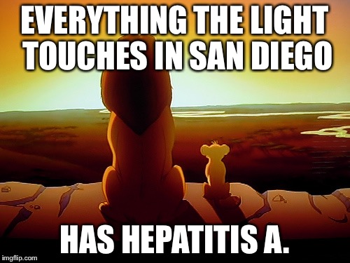 Pride Rock has Hepatitis A | EVERYTHING THE LIGHT TOUCHES IN SAN DIEGO; HAS HEPATITIS A. | image tagged in memes,lion king,hepatitis a,san diego,pride rock,outbreak | made w/ Imgflip meme maker