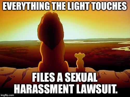 Pride Rock sexual harassment | EVERYTHING THE LIGHT TOUCHES; FILES A SEXUAL HARASSMENT LAWSUIT. | image tagged in memes,lion king,sexual harassment,hollywood,sexual assault,touching | made w/ Imgflip meme maker