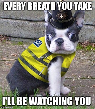 Police dog | EVERY BREATH YOU TAKE; I'LL BE WATCHING YOU | image tagged in police dogs | made w/ Imgflip meme maker