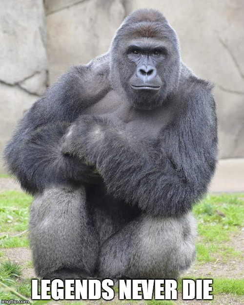 Harambe | LEGENDS NEVER DIE | image tagged in harambe | made w/ Imgflip meme maker