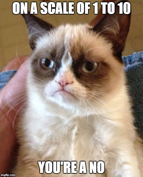 Grumpy Cat Meme | ON A SCALE OF 1 TO 10 YOU'RE A NO | image tagged in memes,grumpy cat | made w/ Imgflip meme maker