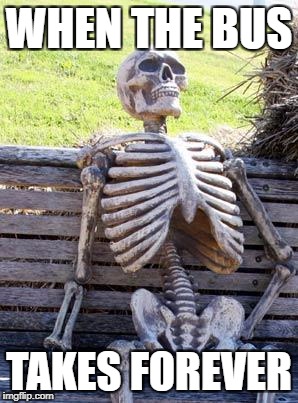 Waiting Skeleton Meme | WHEN THE BUS; TAKES FOREVER | image tagged in memes,waiting skeleton | made w/ Imgflip meme maker