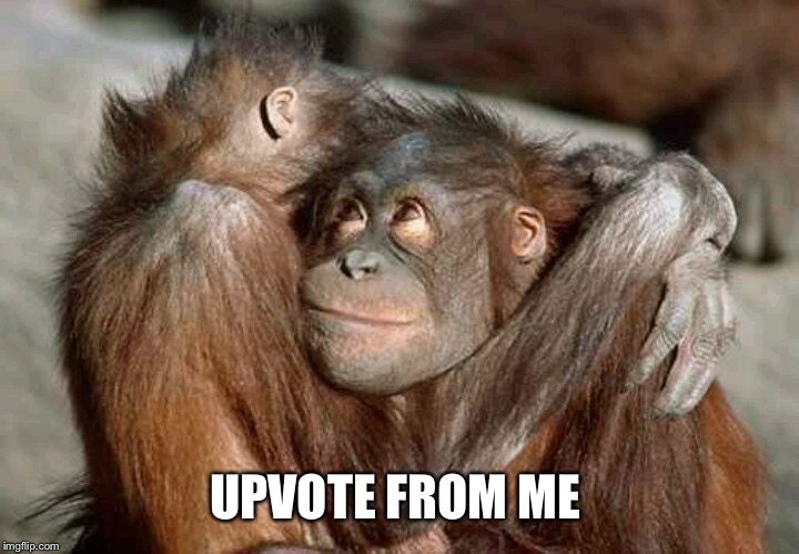 UPVOTE FROM ME | made w/ Imgflip meme maker