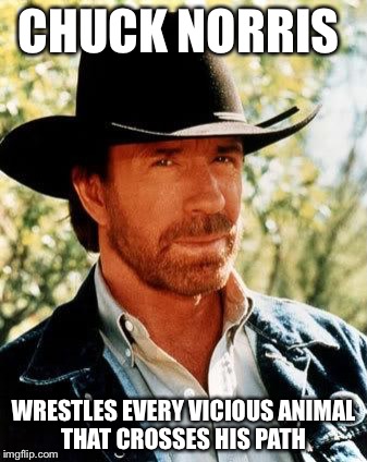 Chuck Norris | CHUCK NORRIS; WRESTLES EVERY VICIOUS ANIMAL THAT CROSSES HIS PATH | image tagged in memes,chuck norris,vicious animals | made w/ Imgflip meme maker