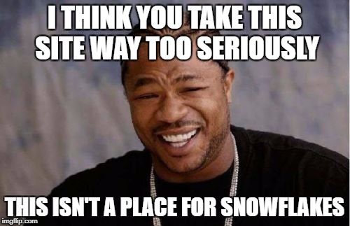 Yo Dawg Heard You Meme | I THINK YOU TAKE THIS SITE WAY TOO SERIOUSLY THIS ISN'T A PLACE FOR SNOWFLAKES | image tagged in memes,yo dawg heard you | made w/ Imgflip meme maker