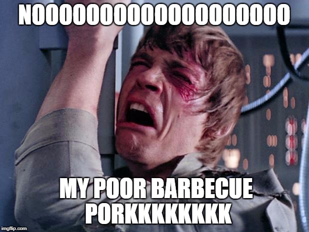 luke nooooo | NOOOOOOOOOOOOOOOOOOO MY POOR BARBECUE PORKKKKKKKK | image tagged in luke nooooo | made w/ Imgflip meme maker