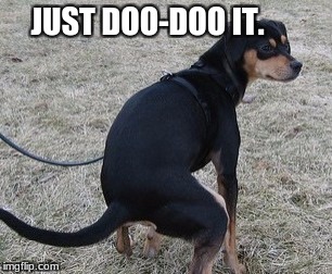 JUST DOO-DOO IT. | image tagged in yougotthis | made w/ Imgflip meme maker