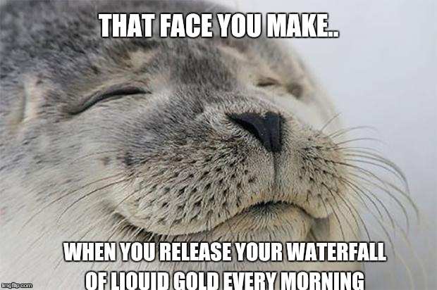 Satisfied Seal | THAT FACE YOU MAKE.. WHEN YOU RELEASE YOUR WATERFALL OF LIQUID GOLD EVERY MORNING | image tagged in memes,satisfied seal | made w/ Imgflip meme maker