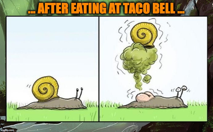 True story | ... AFTER EATING AT TACO BELL ... | image tagged in snail fart | made w/ Imgflip meme maker