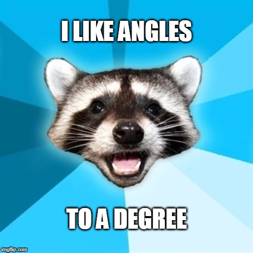 Does that make me a trigsexual? | I LIKE ANGLES; TO A DEGREE | image tagged in memes,lame pun coon | made w/ Imgflip meme maker