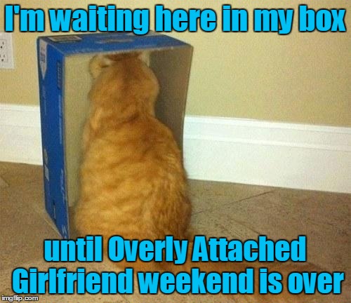 I'm waiting here in my box until Overly Attached Girlfriend weekend is over | made w/ Imgflip meme maker