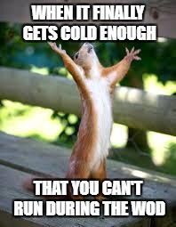 Praise Squirrel | WHEN IT FINALLY GETS COLD ENOUGH; THAT YOU CAN'T RUN DURING THE WOD | image tagged in praise squirrel | made w/ Imgflip meme maker