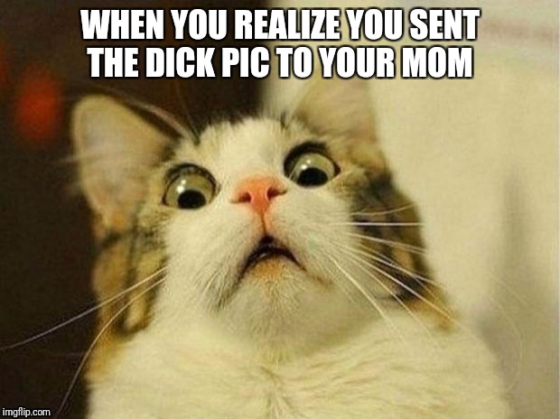 Scared Cat Meme | WHEN YOU REALIZE YOU SENT THE DICK PIC TO YOUR MOM | image tagged in memes,scared cat | made w/ Imgflip meme maker