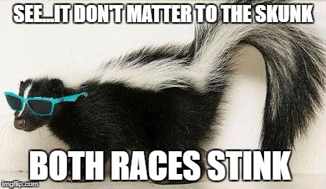 Cool Skunk | SEE...IT DON'T MATTER TO THE SKUNK; BOTH RACES STINK | image tagged in cool skunk | made w/ Imgflip meme maker