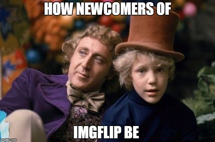 HOW NEWCOMERS OF; IMGFLIP BE | image tagged in memes | made w/ Imgflip meme maker