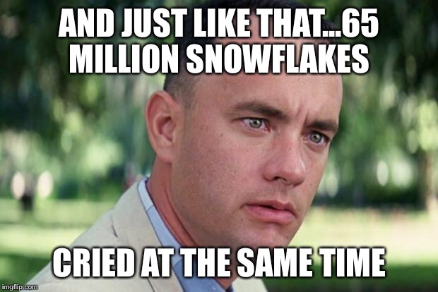 Crying Snowflakes  | AND JUST LIKE THAT...65 MILLION SNOWFLAKES; CRIED AT THE SAME TIME | image tagged in forrest gump | made w/ Imgflip meme maker